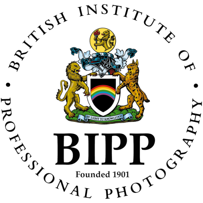 BIPP_Logo